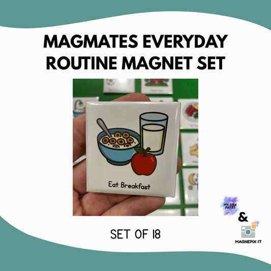 EVERYDAY ROUTINE MAGMATES - SET OF 18